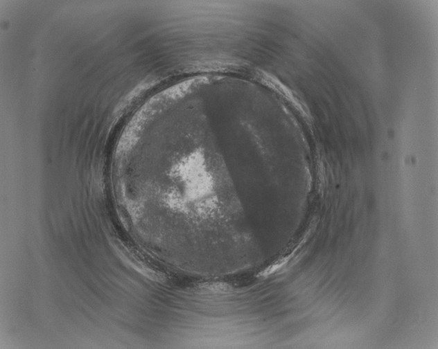 X0000074260203200609151810