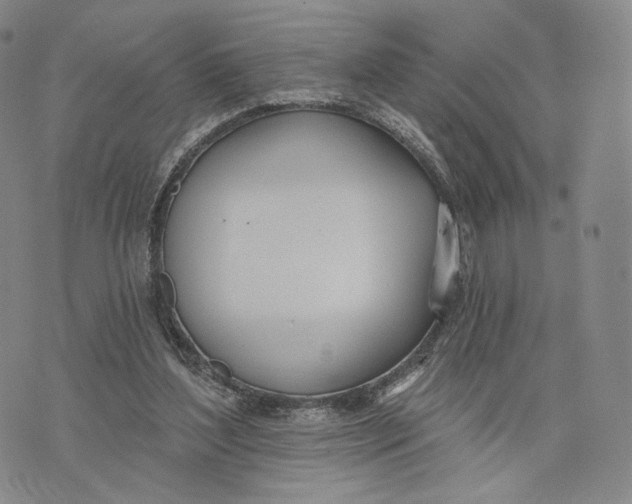 X0000074260204200609151809