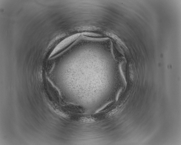 X0000074260207200609151809