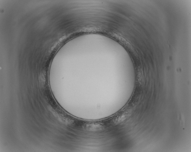 X0000074260208200609151809