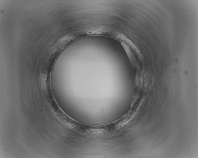 X0000074260209200609151809