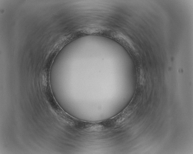 X0000074260210200609151809