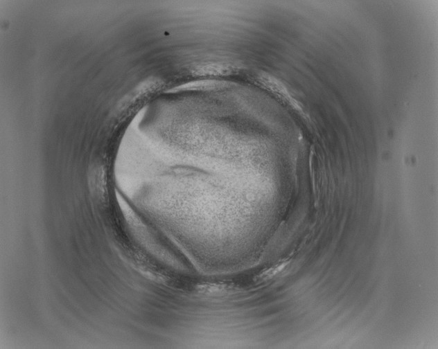 X0000074260211200609151809