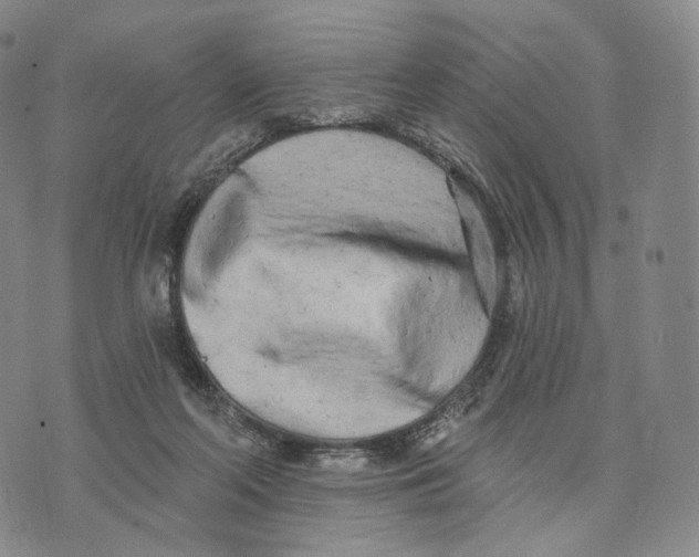 X0000074260214200609151809