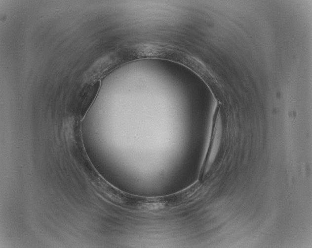 X0000074260217200609151809