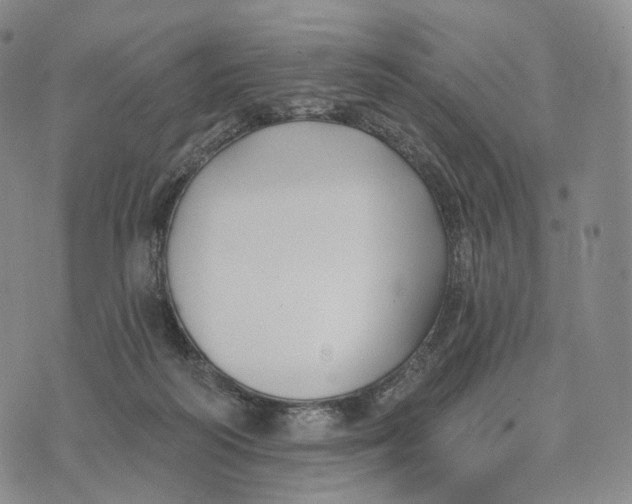 X0000074260218200609151809