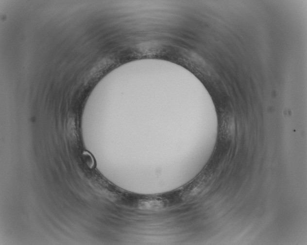 X0000074260220200609151809