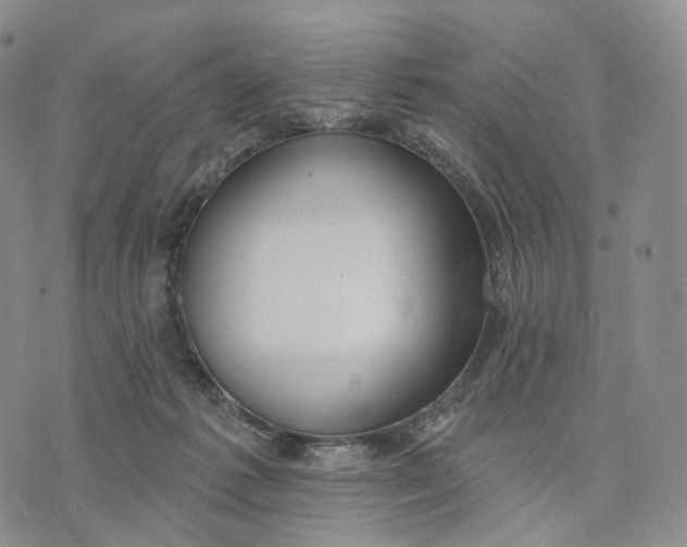 X0000074260221200609151809