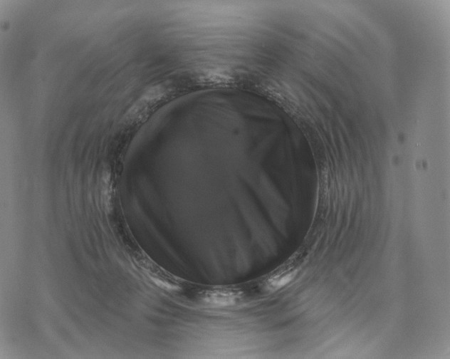 X0000074260223200609151809