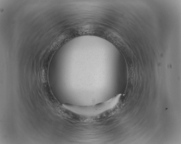 X0000074260224200609151809