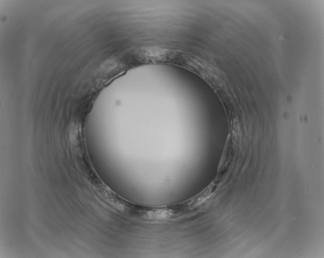 X0000074260225200609151809