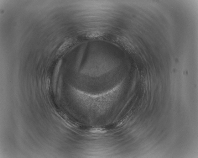 X0000074260227200609151809