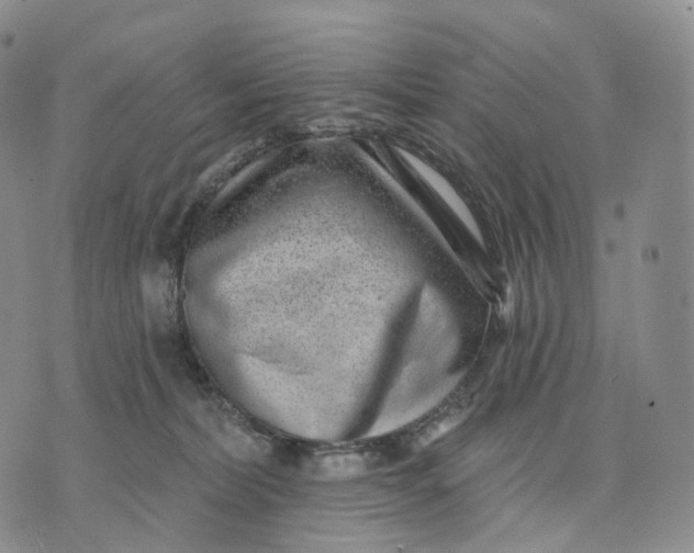 X0000074260228200609151809