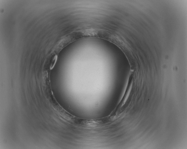 X0000074260229200609151809