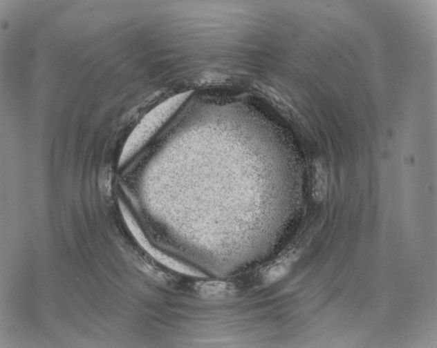 X0000074260230200609151809