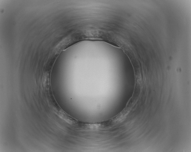 X0000074260233200609151809