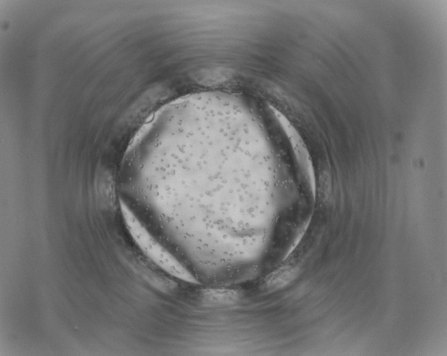 X0000074260234200609151809