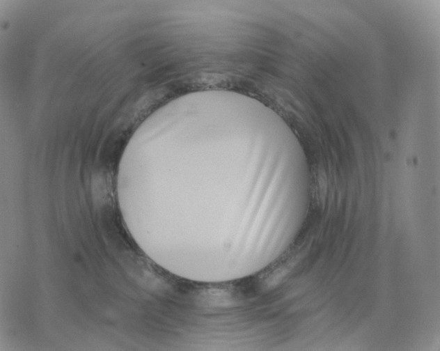 X0000074260236200609151809