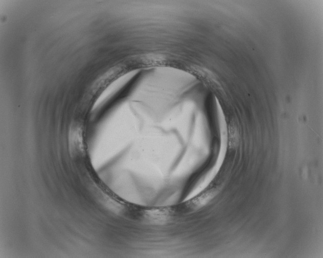 X0000074260238200609151809