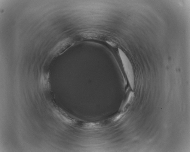 X0000074260239200609151809