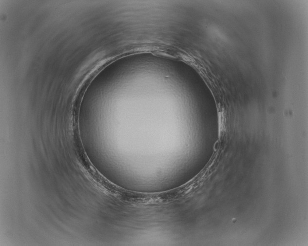 X0000074260243200609151808