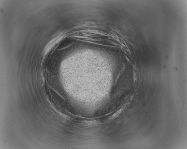 X0000074260245200609151808