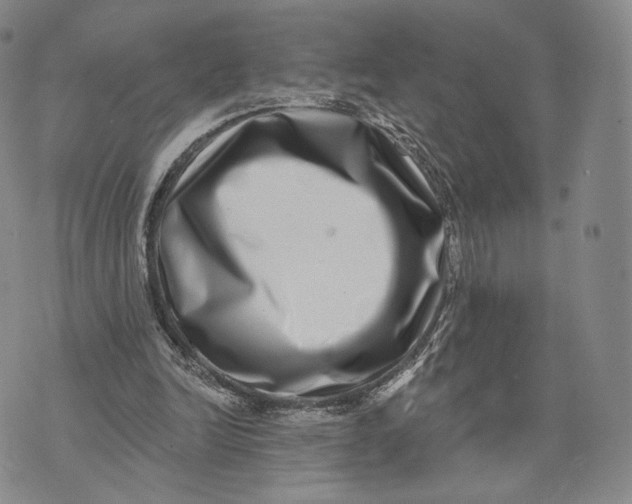 X0000074260246200609151808