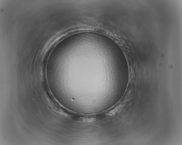 X0000074260247200609151808