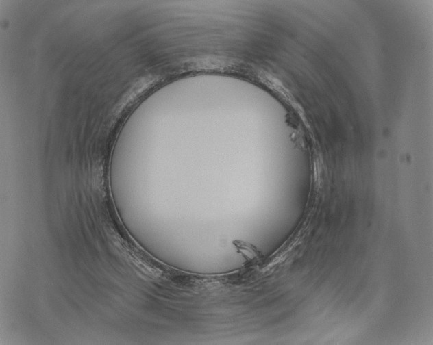 X0000074260249200609151808