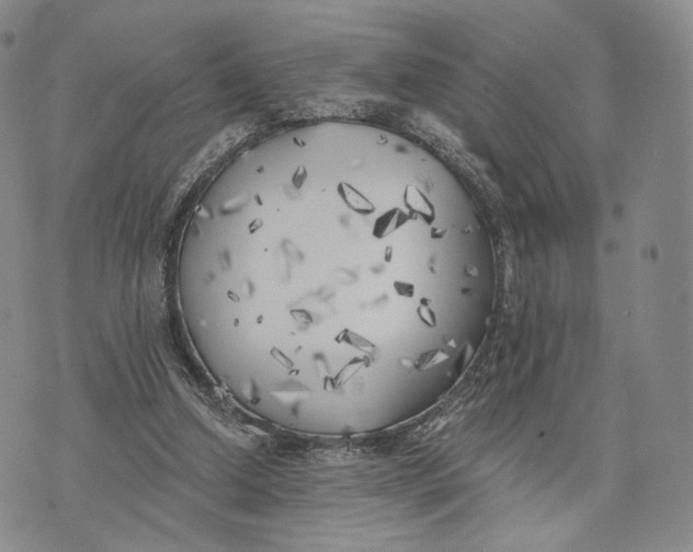 X0000074260250200609151808