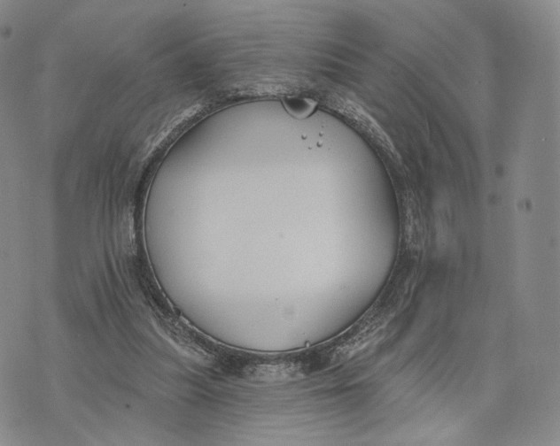 X0000074260251200609151808