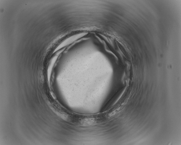 X0000074260252200609151808