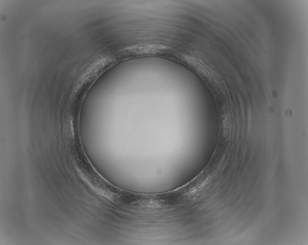 X0000074260254200609151808