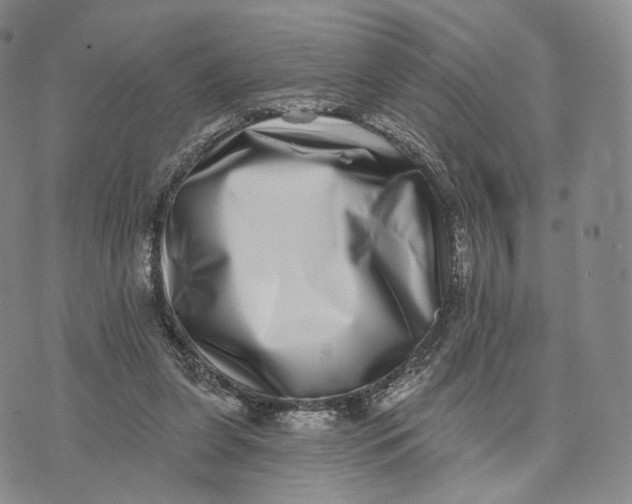 X0000074260255200609151808