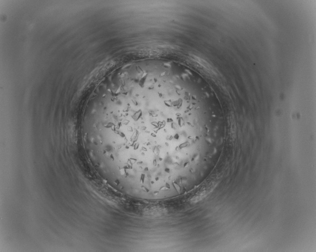 X0000074260258200609151808