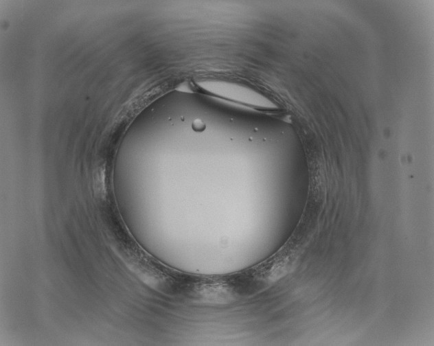 X0000074260262200609151808