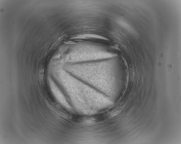 X0000074260263200609151808