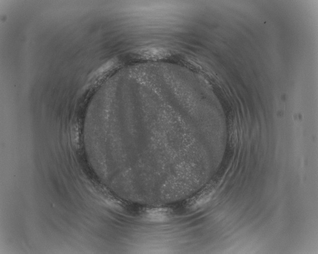 X0000074260268200609151809