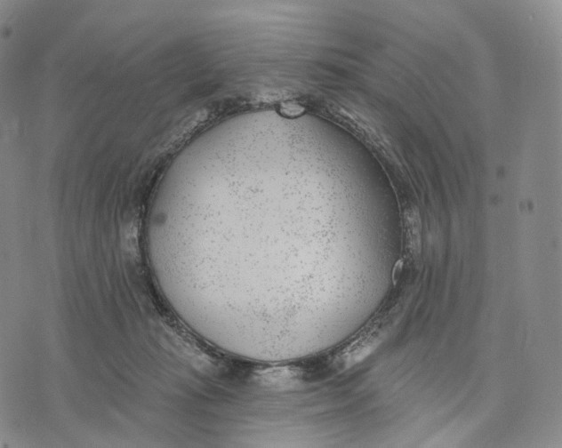 X0000074260269200609151809