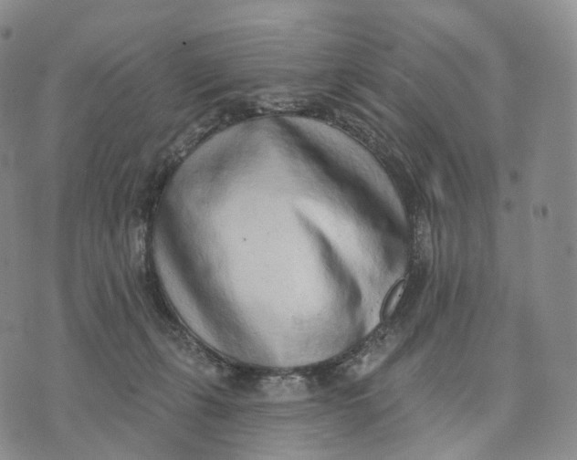 X0000074260271200609151809