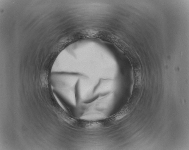 X0000074260274200609151809