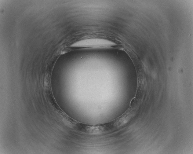 X0000074260277200609151809