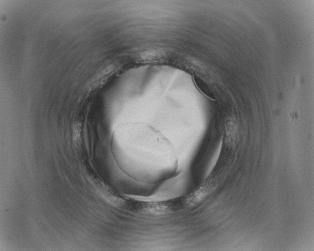 X0000074260278200609151809