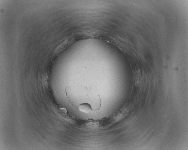 X0000074260279200609151809