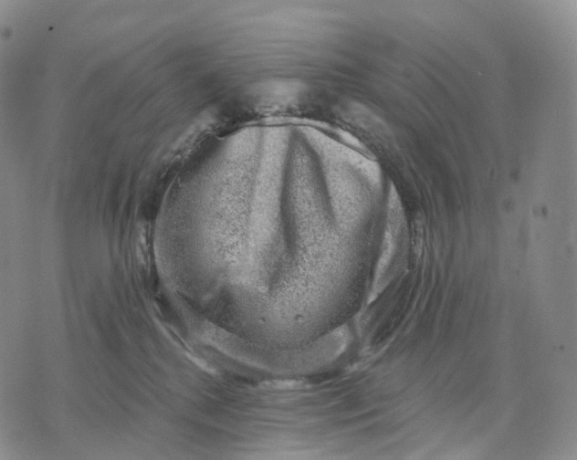 X0000074260280200609151809