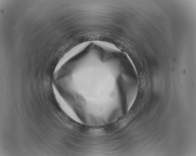 X0000074260283200609151809