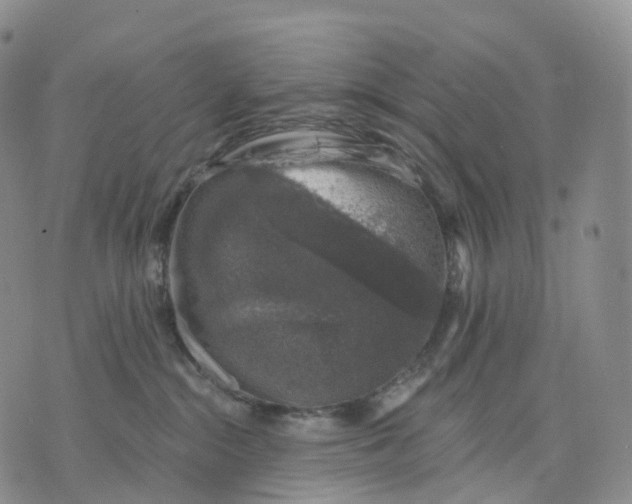 X0000074260284200609151809