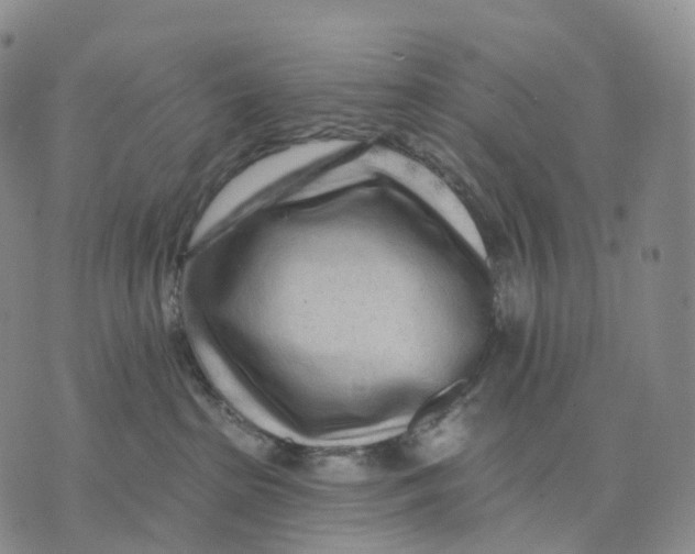 X0000074260285200609151809