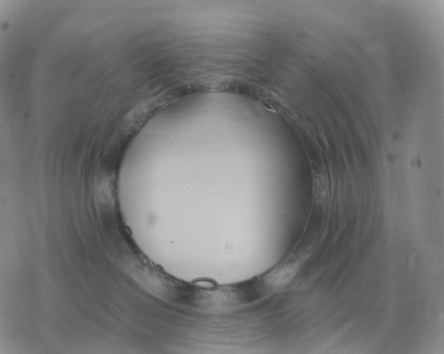 X0000074260286200609151809