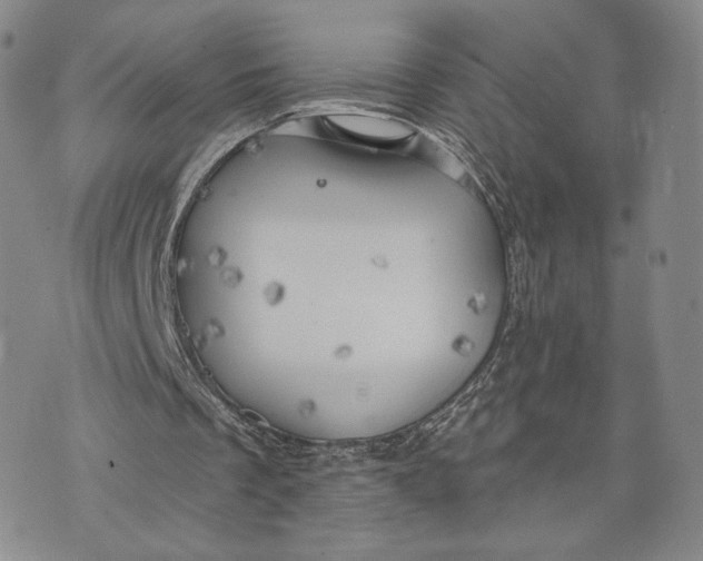 X0000074260289200609151808